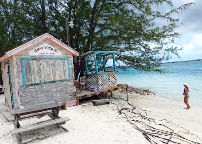 Small wooden bar on a sandy beach with ocean and trees in the background