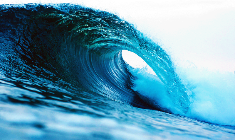 Blu Fin Gear is committed to sustainability and eco-responsibility