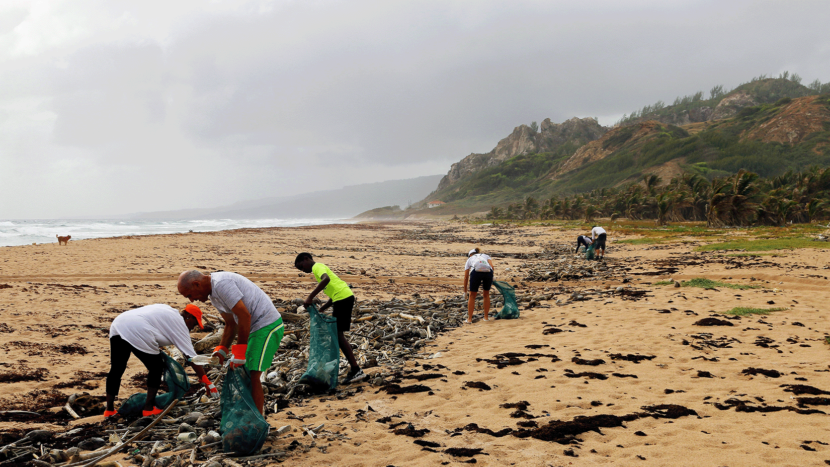 People participating in a beach cleanup on a cloudy day.
