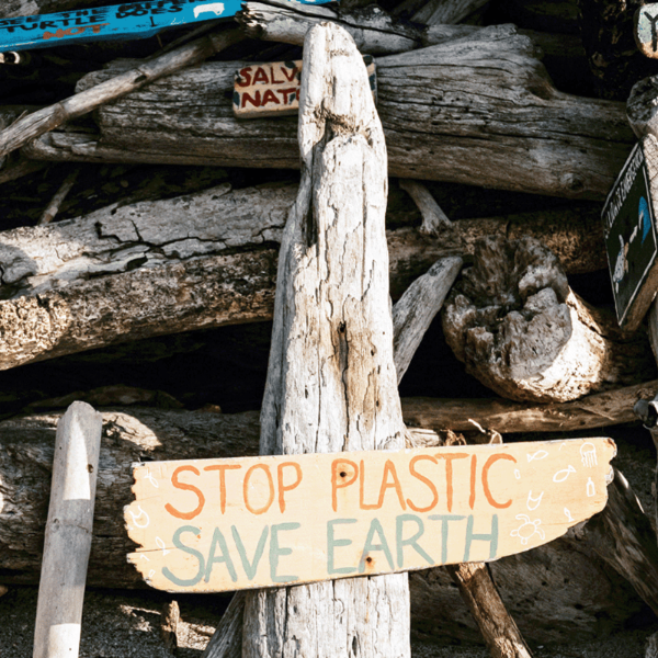 Driftwood with a sign reading 'Stop Plastic Save Earth' against a background of logs and driftwood.